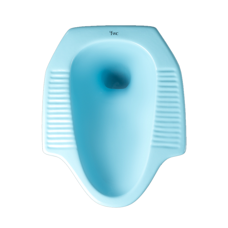 FWC Closet Jongkok Blue Leher Angsa (lt 1)